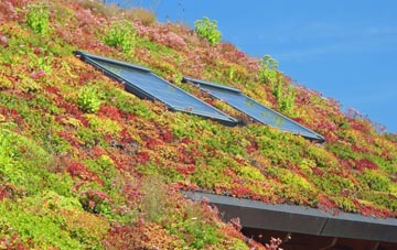 Quothquan living roof systems