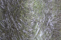 Quothquan fibreglass roof work